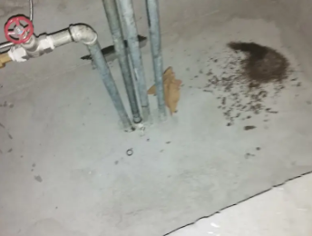 北仑卫生间测漏水价格明细